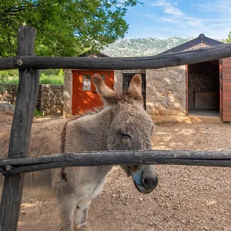 Stone House Magarac * Seline